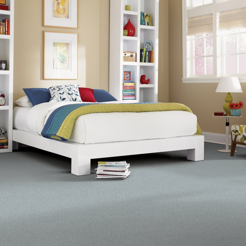 Gobin Allion Flooring Center LLC providing easy stain-resistant pet friendly carpet in Platteville, Wisconsin- Hl040 -960